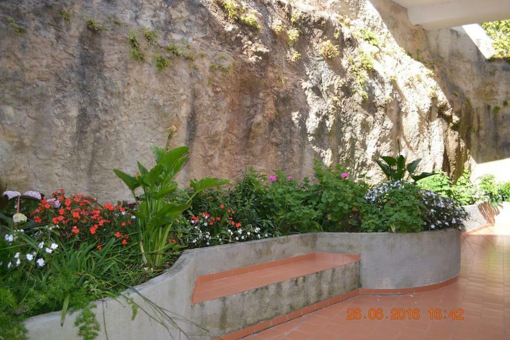 אריסרייה Coral Villa מראה חיצוני תמונה